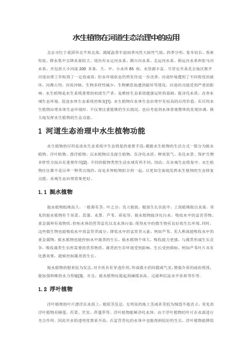 水生植物在河道生态治理中的应用