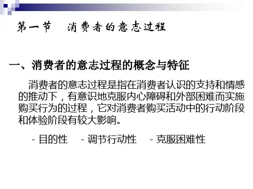 第五章-消费者的意志与态度