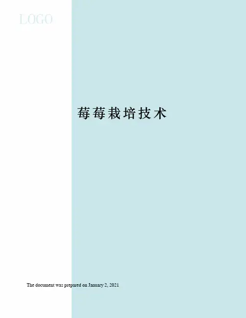 莓莓栽培技术