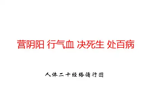 人体经络循行图PPT课件