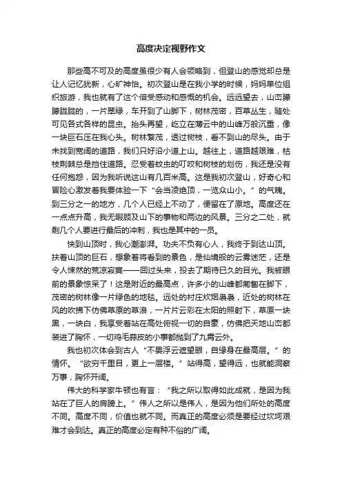 高度决定视野作文