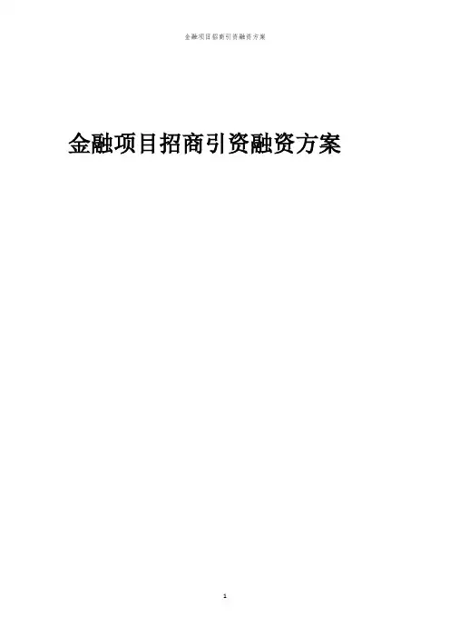 2023年金融项目招商引资融资方案