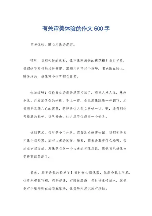 有关审美体验的作文600字