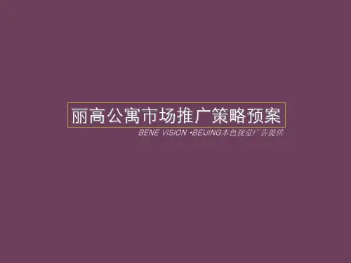 公寓市场推广策略预案