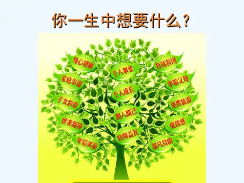 人生的价值远景(PPT34张)