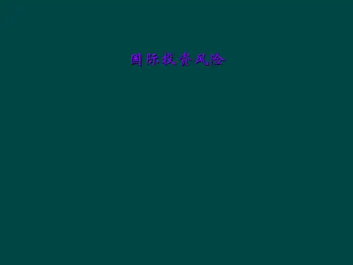 国际投资风险