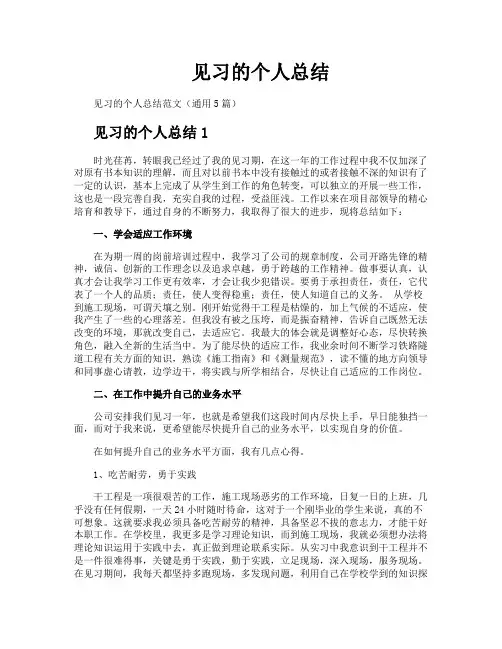 见习的个人总结