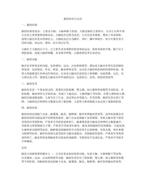 脑的知识点总结