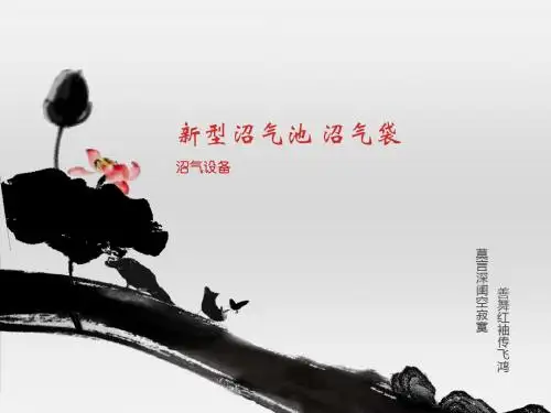 有关沼气池 沼气袋的详细阐述