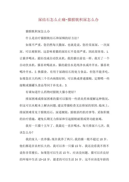 尿结石怎么止痛-猫膀胱积尿怎么办