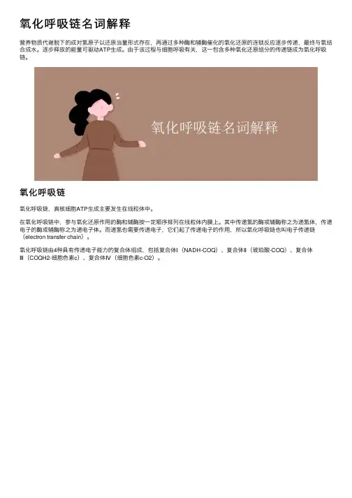 氧化呼吸链名词解释
