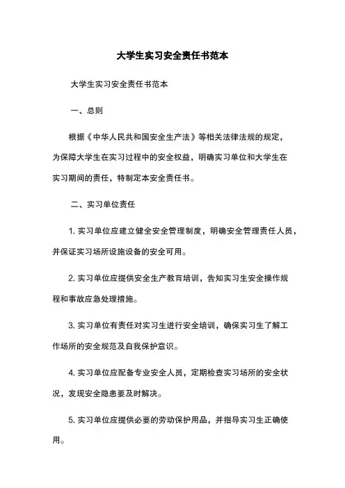 大学生实习安全责任书范本