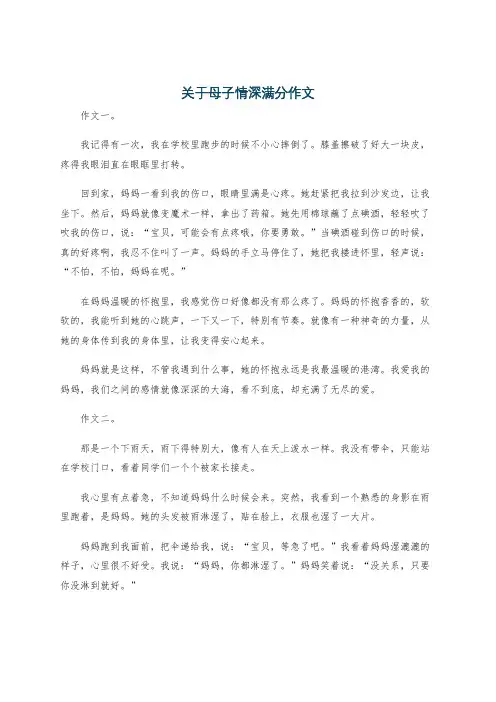 关于母子情深满分作文