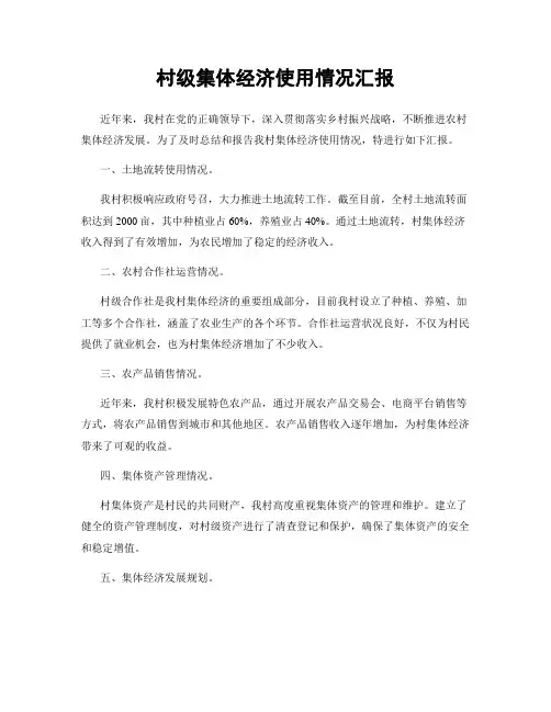村级集体经济使用情况汇报
