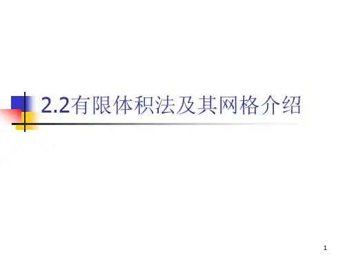 2有限体积法及其网格简介