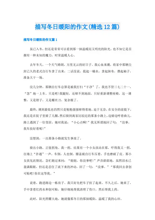 描写冬日暖阳的作文(精选12篇)