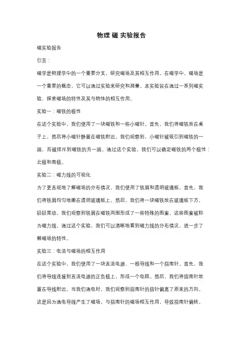 物理 磁 实验报告