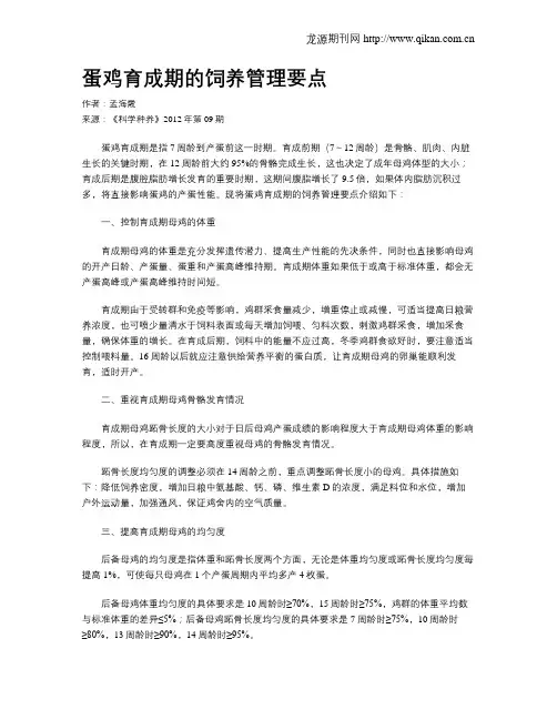 蛋鸡育成期的饲养管理要点
