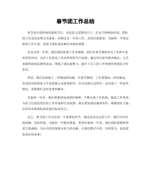 春节团工作总结
