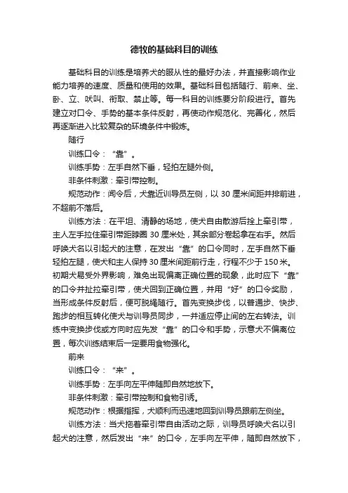 德牧的基础科目的训练