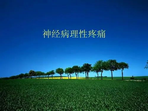 神经病理性疼痛1