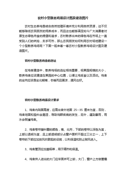 农村小型散养鸡场设计图及建造图片
