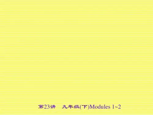 2017名师中考面对面(外研版)英语(浙江金华地区)课件第23讲九年级(下)Modules1~2