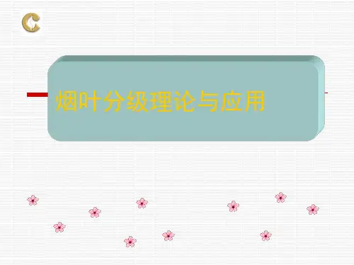 烟草现代化分级知识与技能