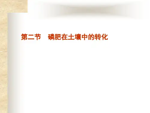 第二节磷在土壤中的转化-new