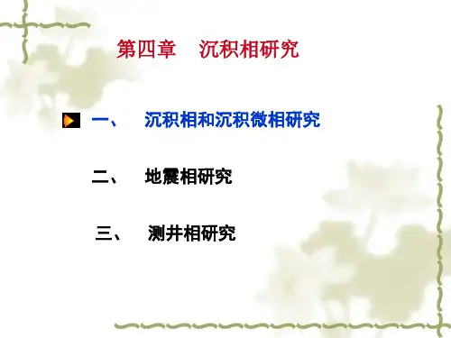 石油工程第四章沉积相研究