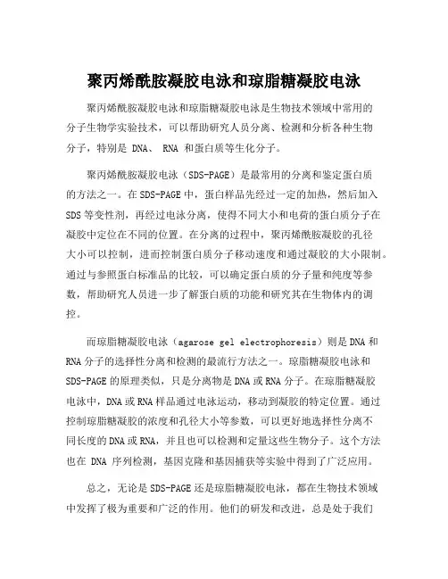 聚丙烯酰胺凝胶电泳和琼脂糖凝胶电泳