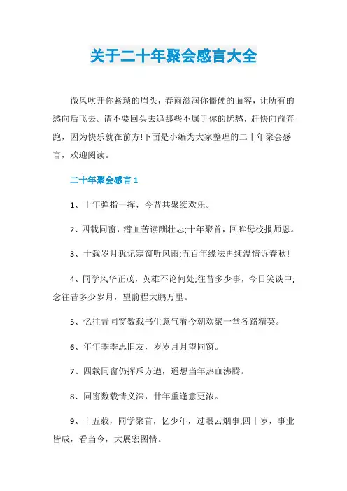 关于二十年聚会感言大全