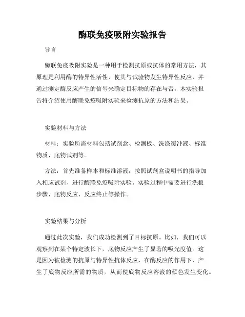 酶联免疫吸附实验报告