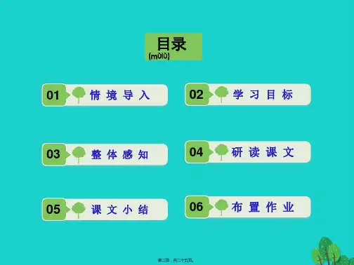 最新七年级语文上册第11课端午日课件苏教版共25张PPT课件