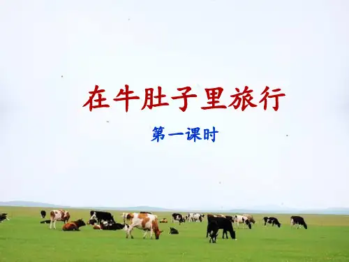 《在牛肚子里旅行》(第一课时)人教(部编版)PPT 优秀课件
