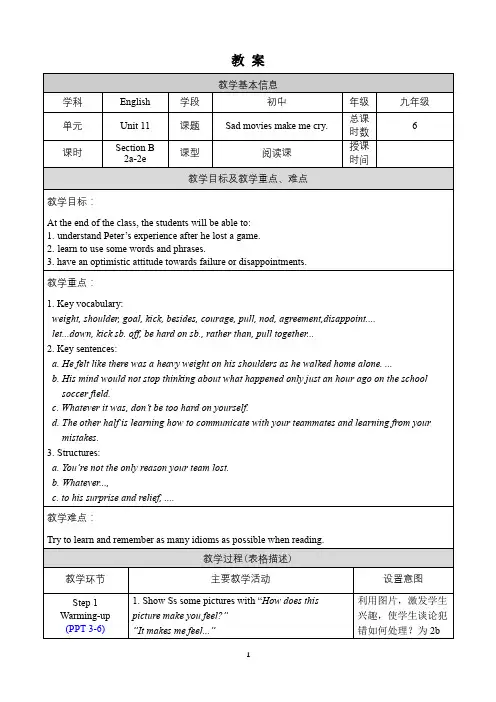 人教版英语九年级下册教案Unit 11 Section B 2a-2e