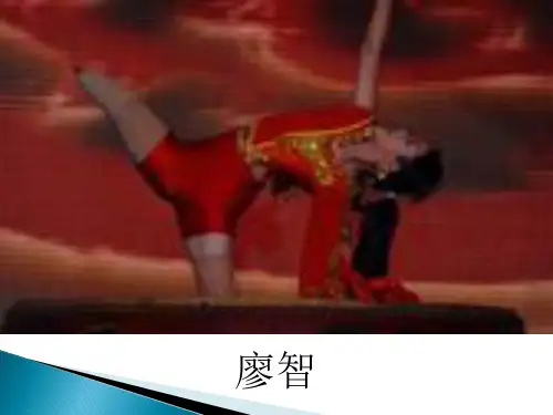 《再塑生命的人》ppt课件