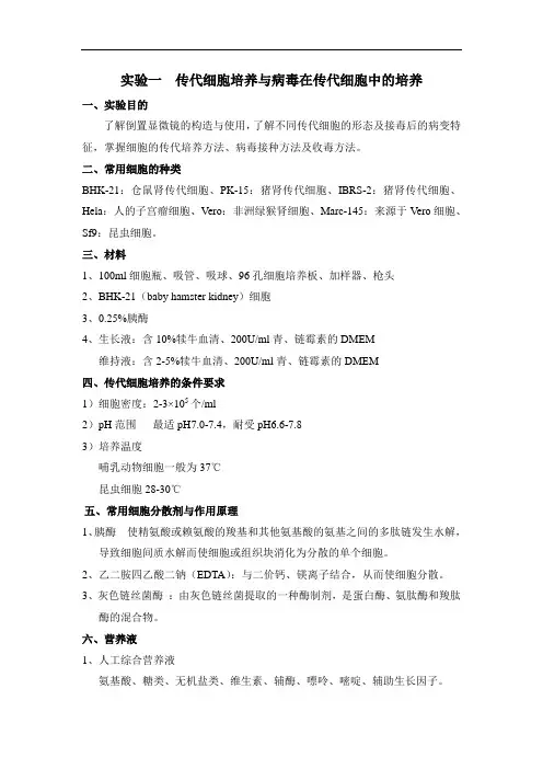 细胞培养实验课程SOP