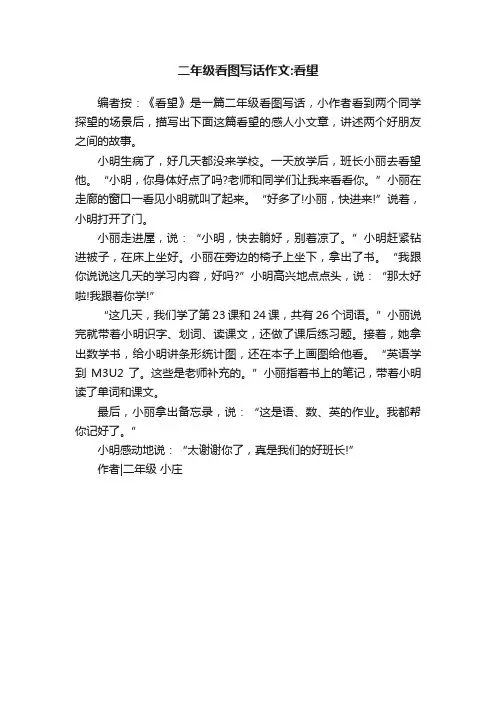 二年级看图写话作文：看望