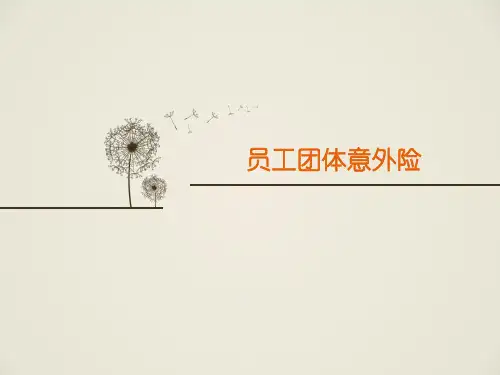 员工团体意外险培训课件