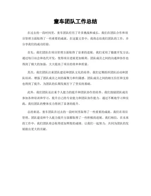 童车团队工作总结