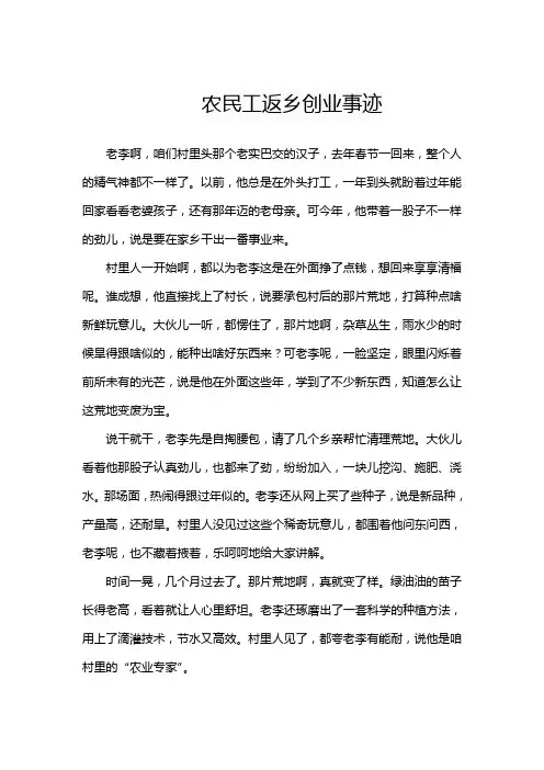 农民工返乡创业事迹