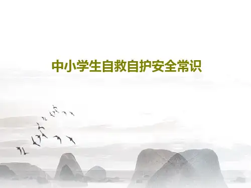 中小学生自救自护安全常识共31页