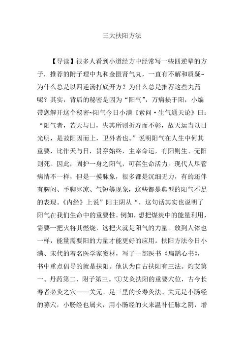 大扶阳方法