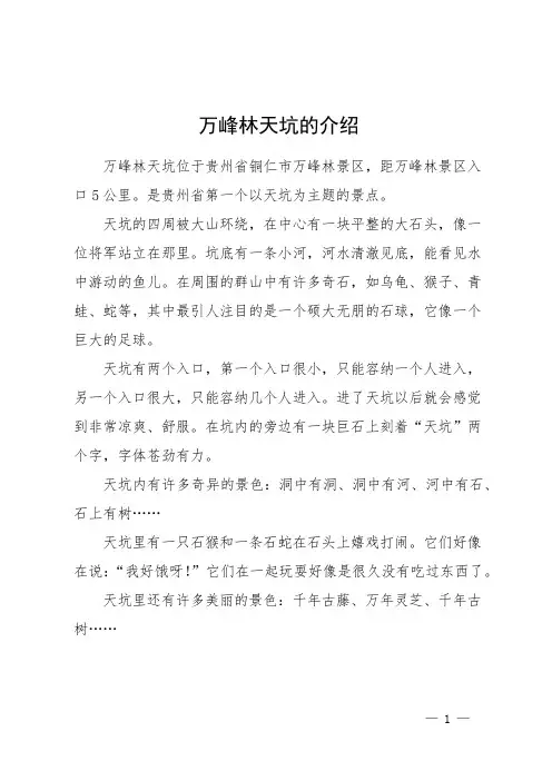 万峰林天坑的介绍
