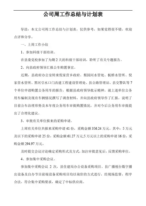 公司周工作总结与计划表