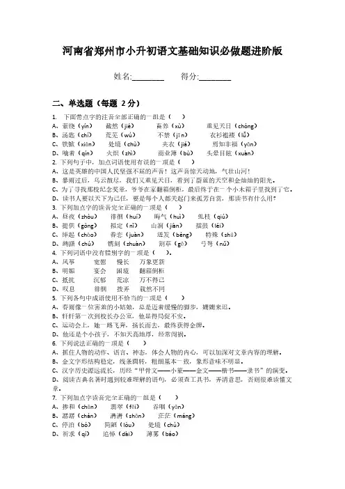河南省郑州市小升初语文基础知识必做题进阶版