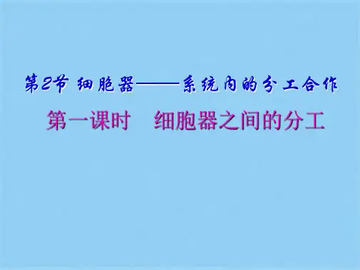 苏教版高中生物必修一第三章 第二节细胞质和细胞器(共26张PPT)(共26张PPT)