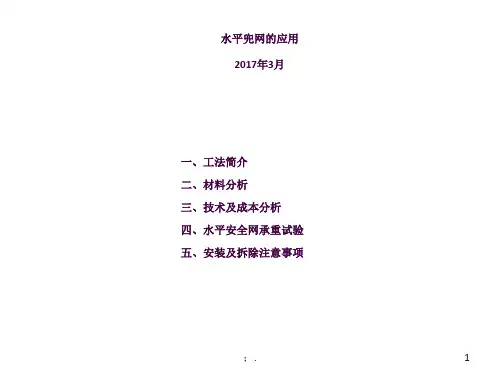 水平兜网的应用(1)ppt课件