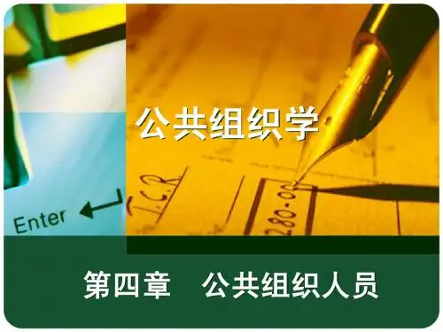 第四章-公共组织人员